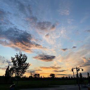 Meet your Posher, Tas